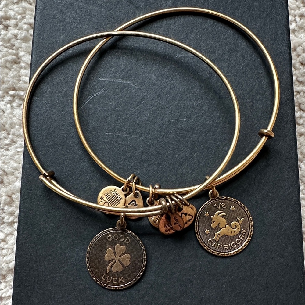 Set of 2 Alex and Ani Gold Charm Bangle Bracelets - Good Luck ☘️ & Capricorn ♑️